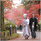 紅葉で彩る日本庭園での和装ロケーションウェディング写真2
